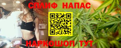 прущие грибы Котовск