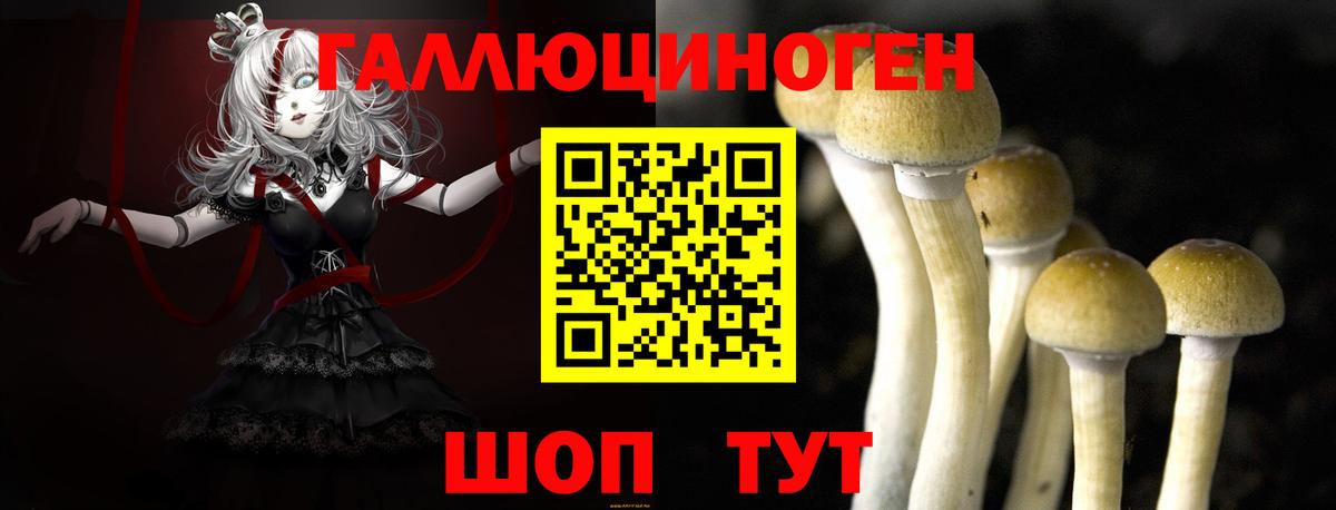 Ялта  Галлюциногенные грибы мицелий  Вход с VPN 
